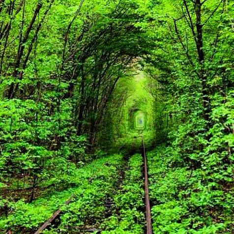 Curiosa-mente (@openmente2) on Twitter photo 