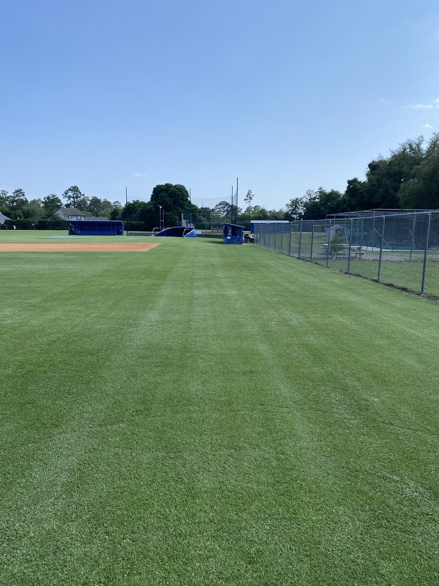 BallparkOne LLC tweet media