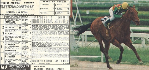 Rafael Vicente Salas (@blindadosalas1) on Twitter photo #Hipismo El 04/06/1978 Debutó GRANADOS 🇻🇪 galopando al lote por 14 cuerpos. Con todo y su enorme origen, ½ hermano de SEATTLE SLEW y GUAPO, corrió tan solo 13 veces (4G) y apenas sobresalió en la cría por BENGALUR y el campeón de @oficialhinava SUPER SERGIO. Retrospecto: <a href="/Monedo/">Mario Rodriguez</a> #Hipismo El 04/06/1978 Debutó GRANADOS 🇻🇪 galopando al lote por 14 cuerpos. Con todo y su enorme origen, ½ hermano de SEATTLE SLEW y GUAPO, corrió tan solo 13 veces (4G) y apenas sobresalió en la cría por BENGALUR y el campeón de @oficialhinava SUPER SERGIO. Retrospecto: <a href="/Monedo/">Mario Rodriguez</a>