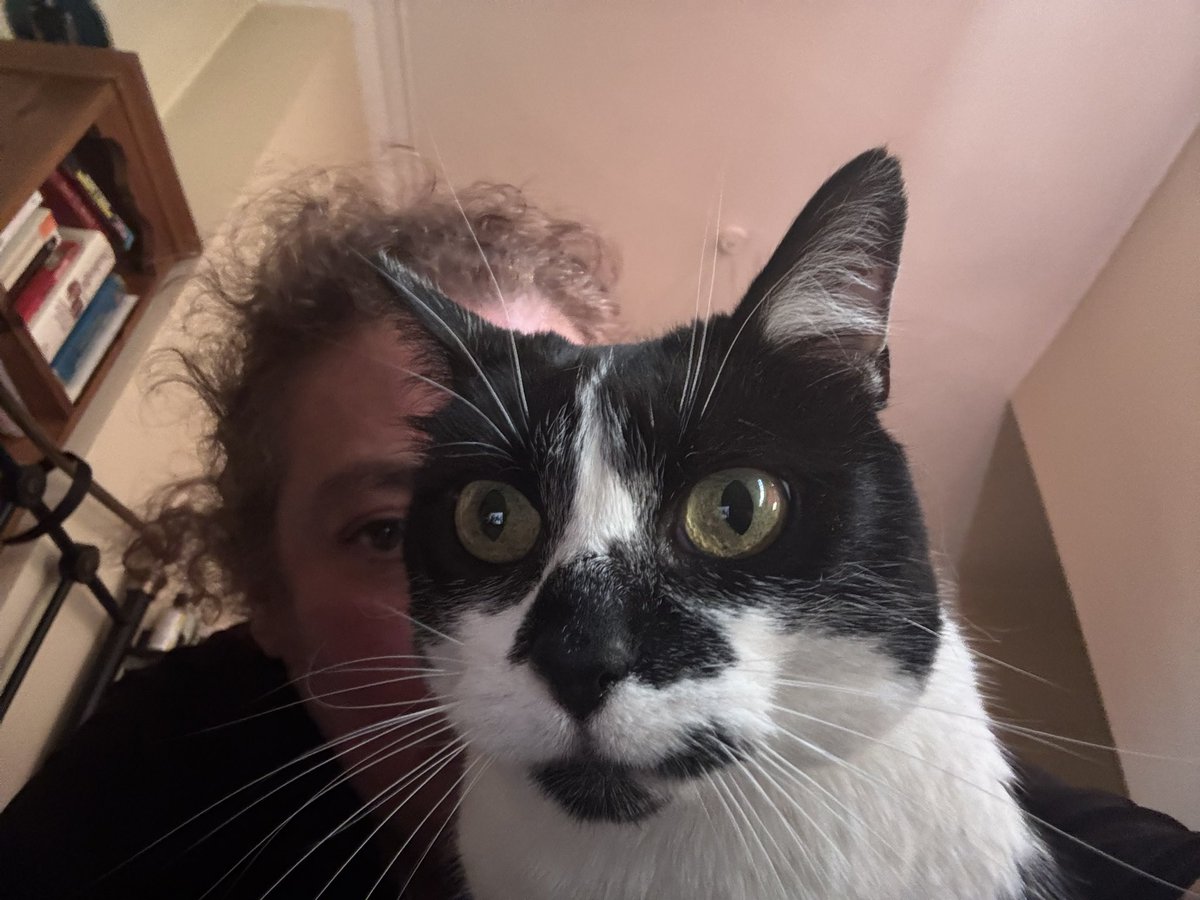 Dr. Nikki Carter tweet media