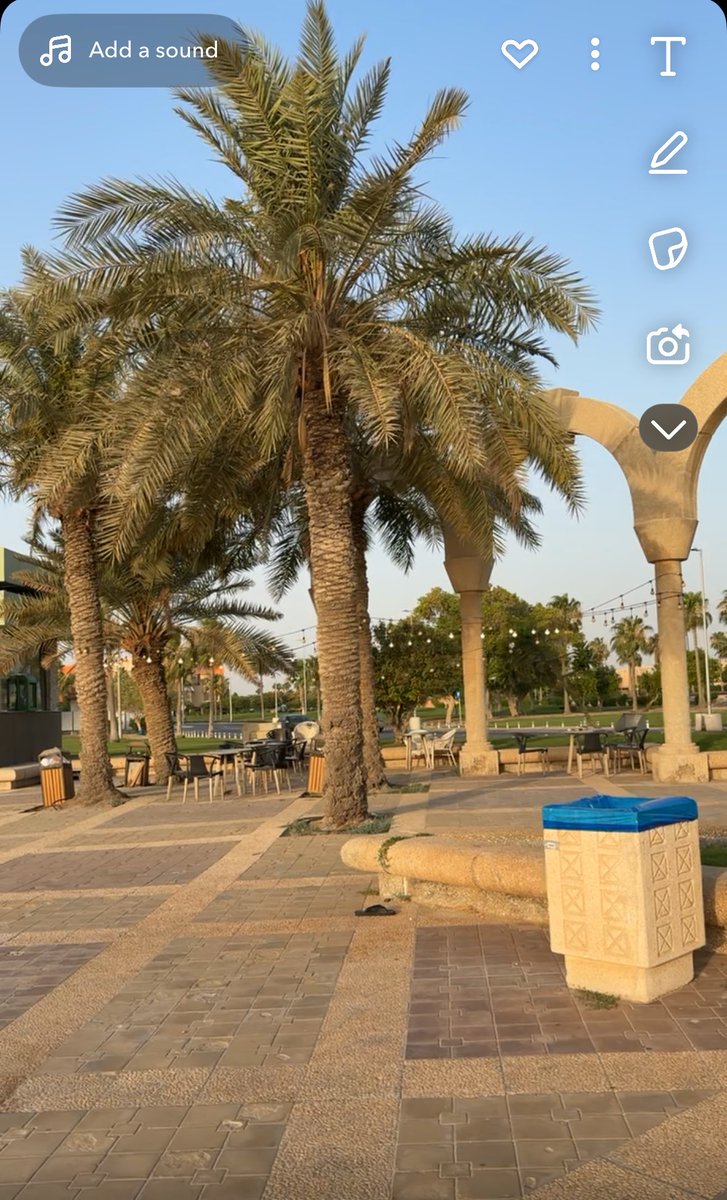 iMwd_'s tweet photo. رحنا نشوف الشروق 🌅🧡💜🩵👫🏻✨ https://t.co/W3MDi30gPM