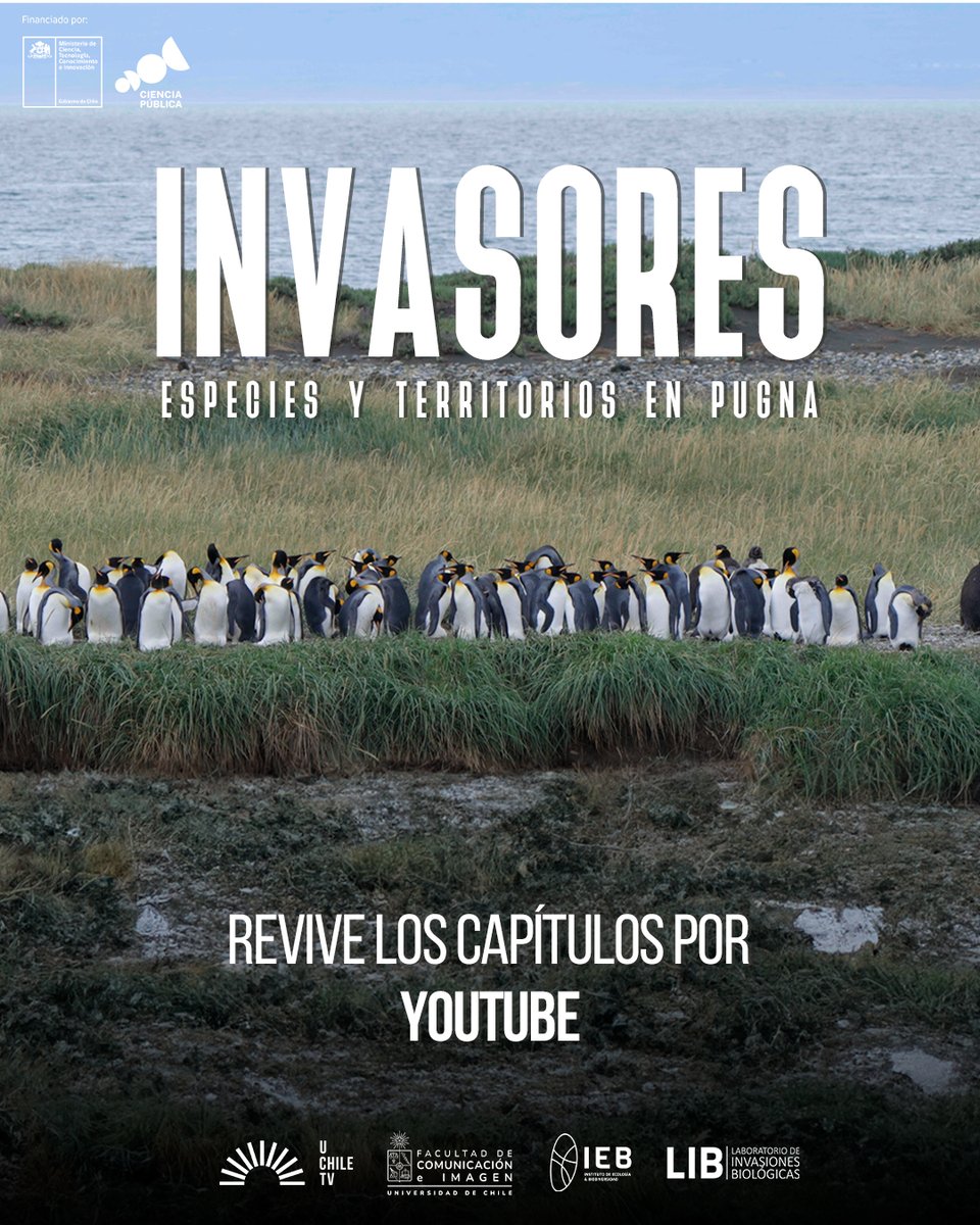 🌲 En el #DíaMundialDelMedioAmbiente, te contamos que especies como el visón, el castor y el pino están afectando la biodiversidad en Chile.
Descubre más en nuestra serie #Invasores, ya disponible en YouTube.

▶️ youtube.com/playlist?list=…