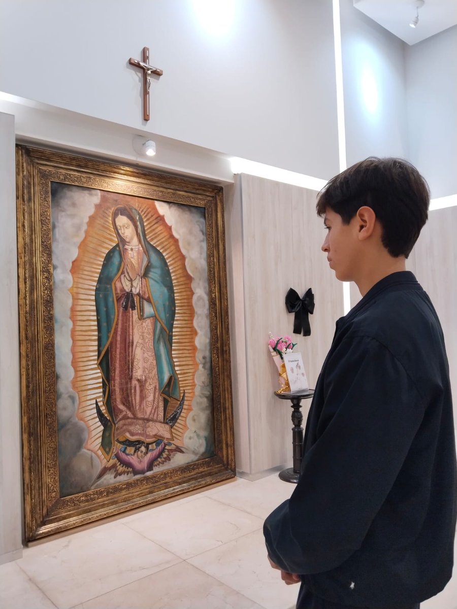 aweech's tweet photo. #AENSAYAR #RAFAELAYALA #AMADOR #GUADALAJARA #ALTRIUNFO

El joven amador yucateco Rafael Ayala Ruíz salió la mañana de hoy a la ciudad de Guadalajara, Jalisco acompañado de su padre el también rejóneador Cuauhtémoc Ayala https://t.co/nDzFEuQPBt
