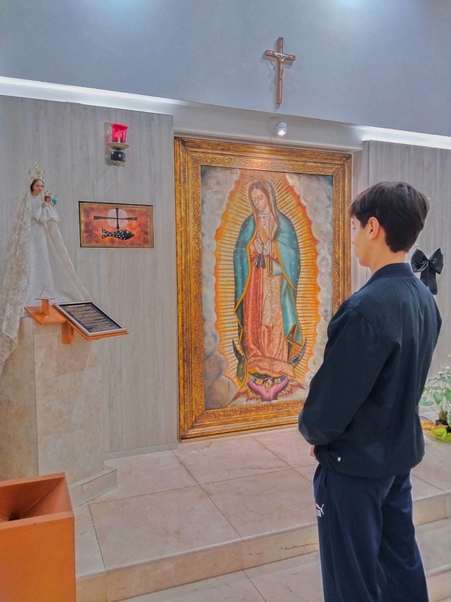 aweech's tweet photo. #AENSAYAR #RAFAELAYALA #AMADOR #GUADALAJARA #ALTRIUNFO

El joven amador yucateco Rafael Ayala Ruíz salió la mañana de hoy a la ciudad de Guadalajara, Jalisco acompañado de su padre el también rejóneador Cuauhtémoc Ayala https://t.co/nDzFEuQPBt