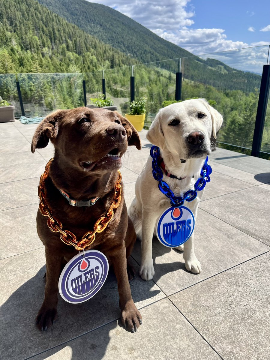 Jennifer Fisk 🇨🇦 tweet media