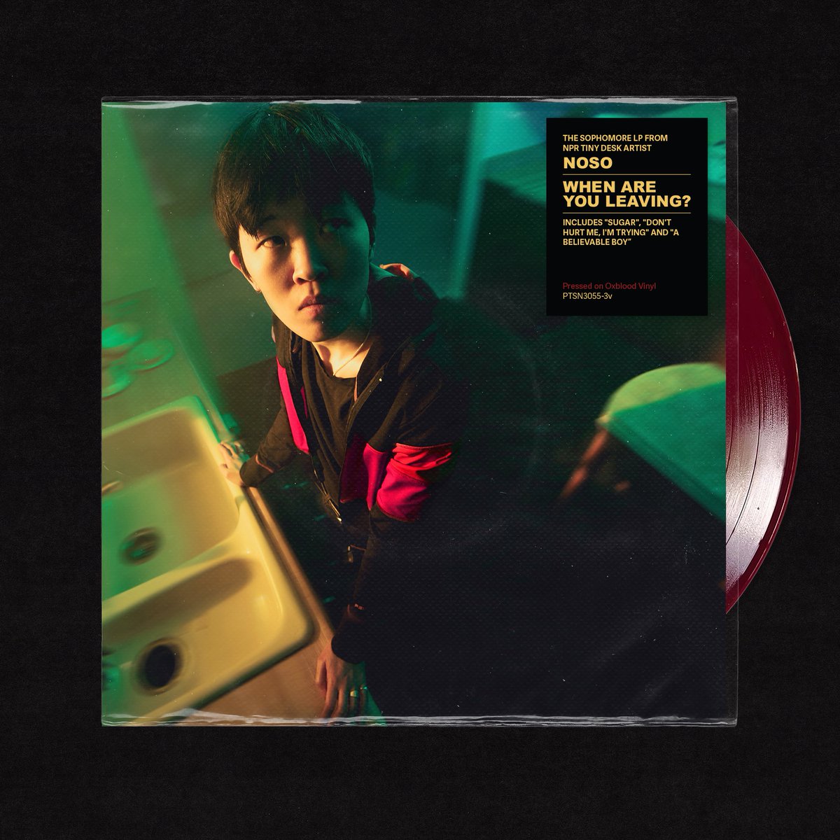 You can pre-order the vinyl for my second album here: nosomusic.com/shop