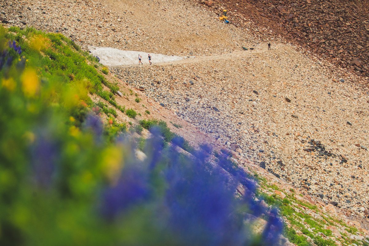 Happy Global Running Day!
Our POW Run Alliance is a crew of runners who take action for our planet—and also happen to run really, really fast. From city streets to alpine summits, the backcountry of Bhutan to 100-mile ultras, they’re showing up for the planet every step of the