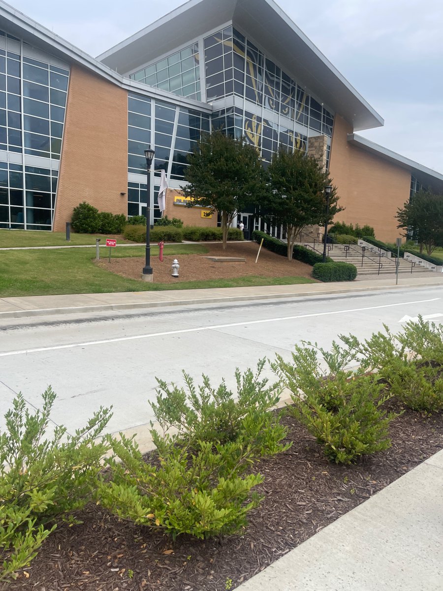 Braydon Collins tweet media