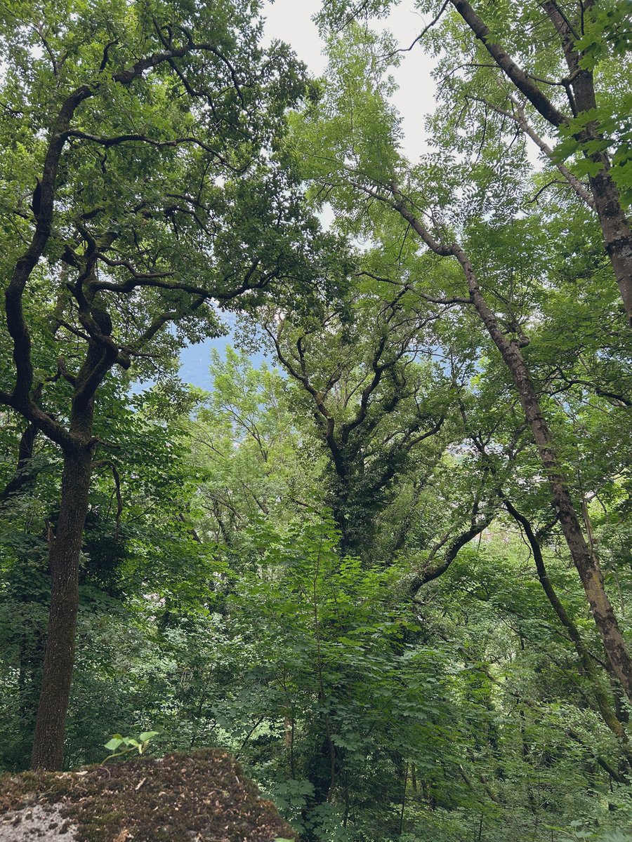 Virginie Debuisson tweet media