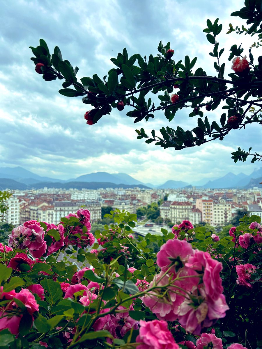 Virginie Debuisson tweet media