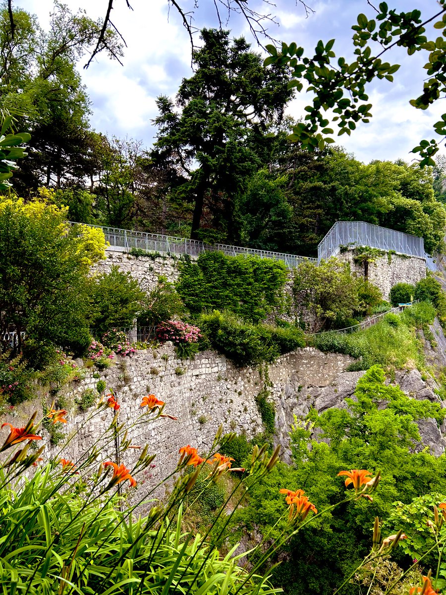 Virginie Debuisson tweet media