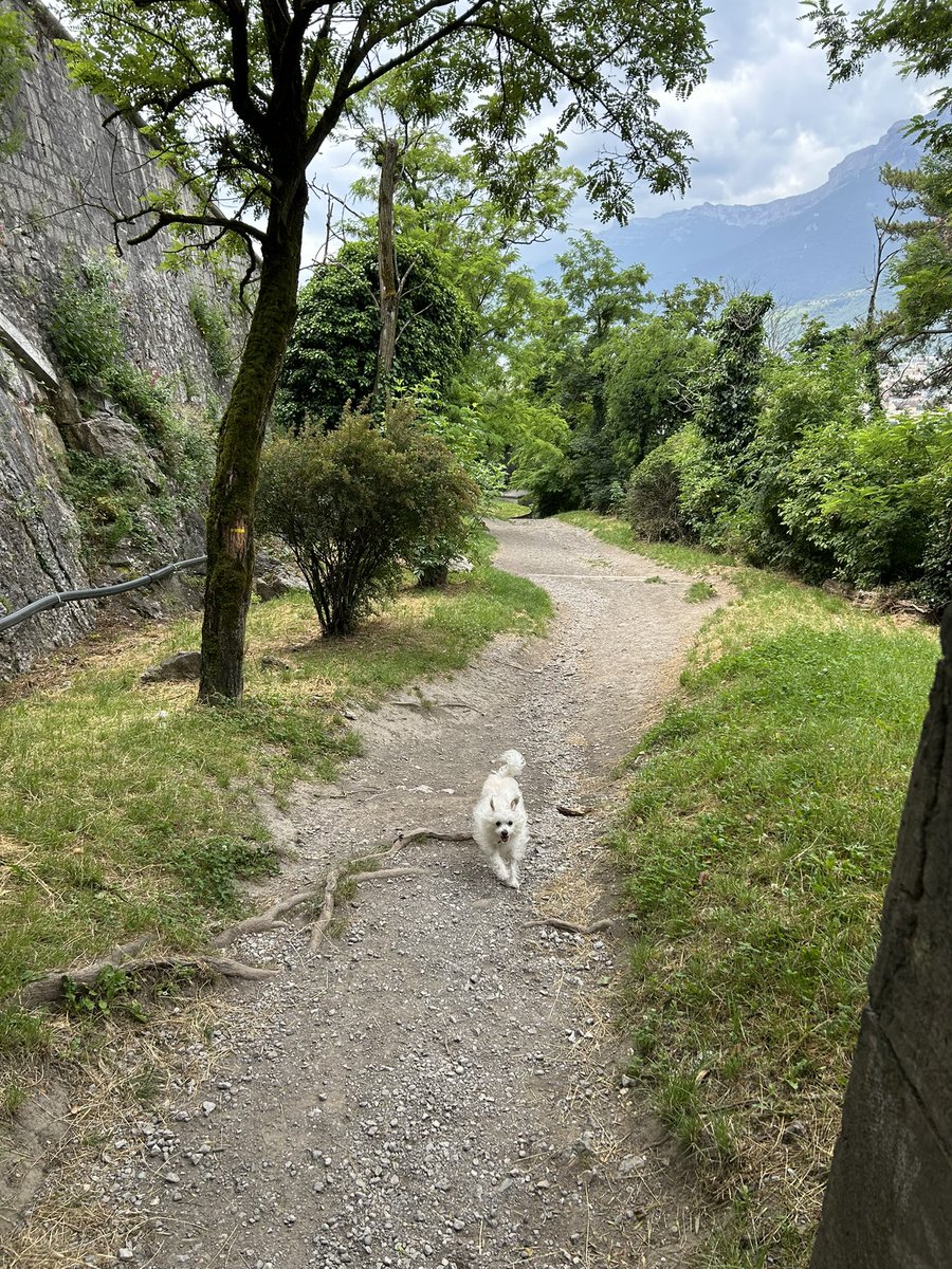 Virginie Debuisson tweet media