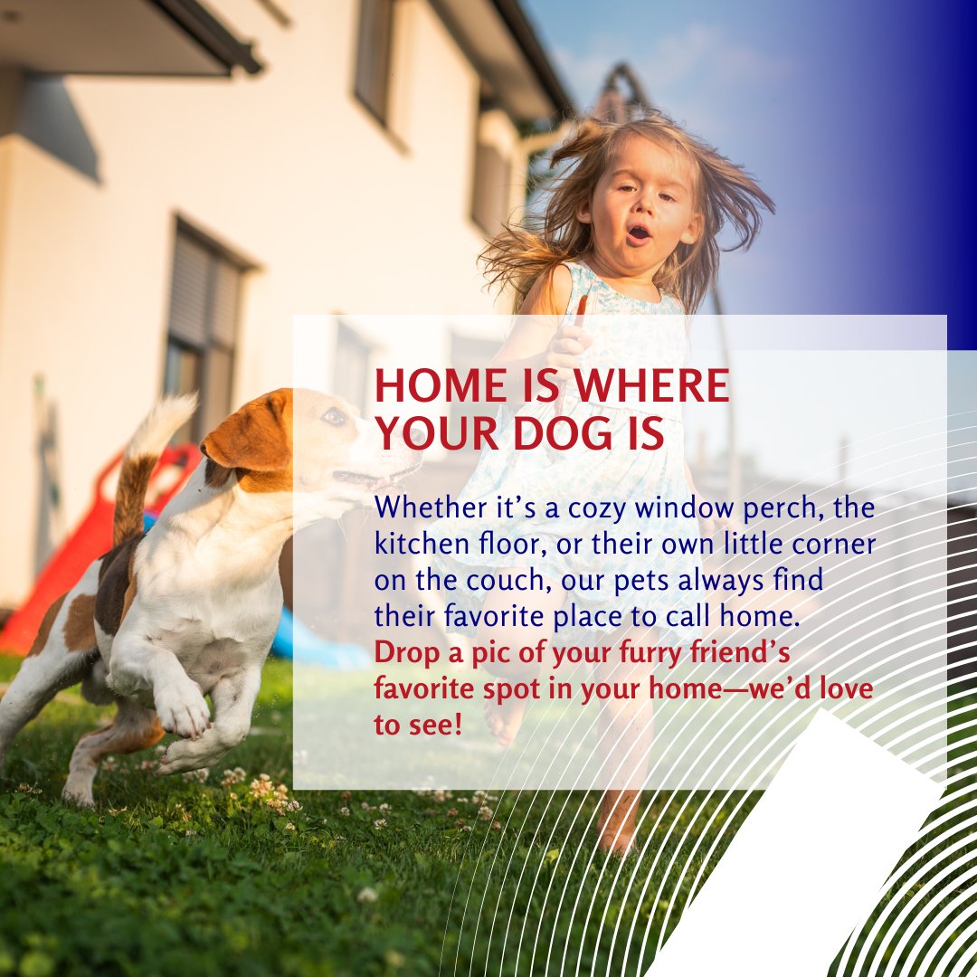 GailHoover's tweet image. Whether it’s a cozy window perch, the kitchen floor, or their own little corner on the couch, our pets always find their favorite place to call home. Drop a pic of your furry friend’s favorite spot in your home—we’d love to see!
#PetFriendlyHome #LehighValleyRealtor #LehighValley