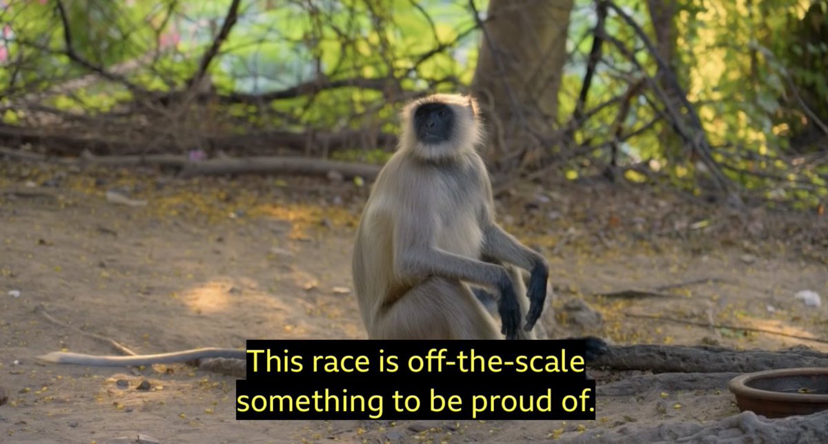 MrPaulRobinson's tweet image. The animal cutaway shots are particularly good when you have the subtitles on #raceacrosstheworld