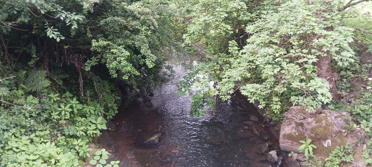 thatwhichfalls𓅓 tweet media