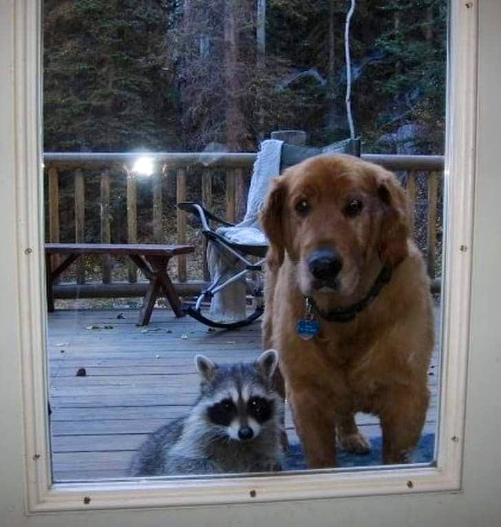 "When they open the door, let me do the talking"