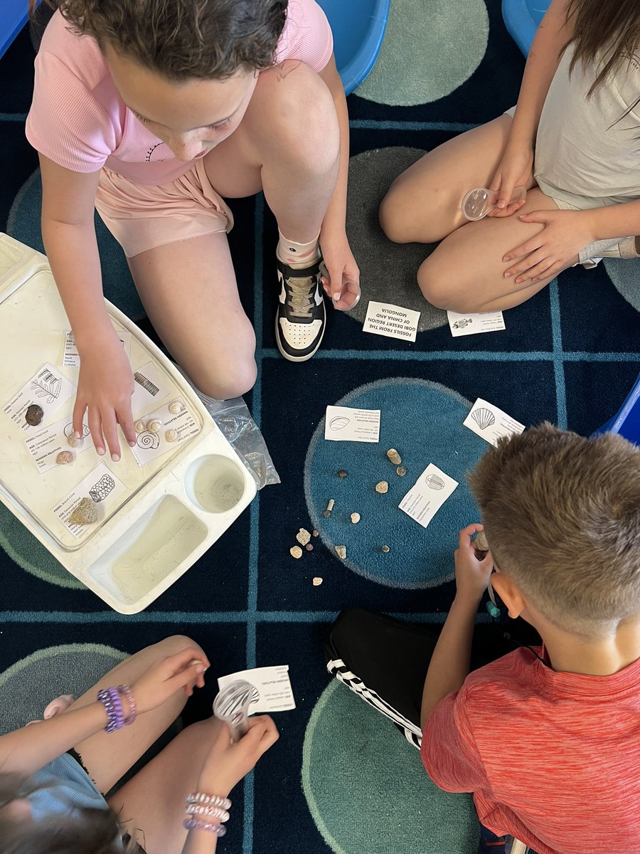 MsRedaelli tweet media