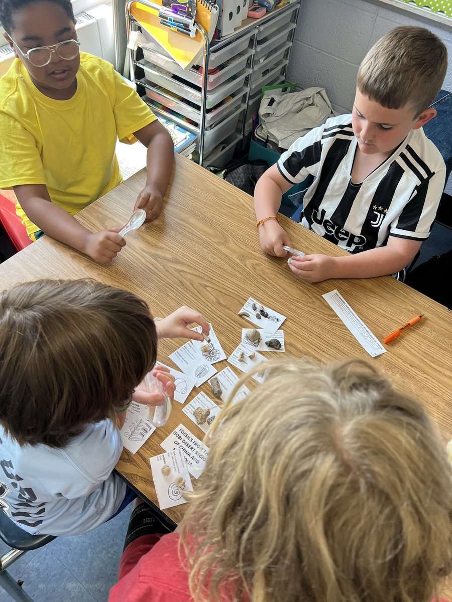 MsRedaelli tweet media