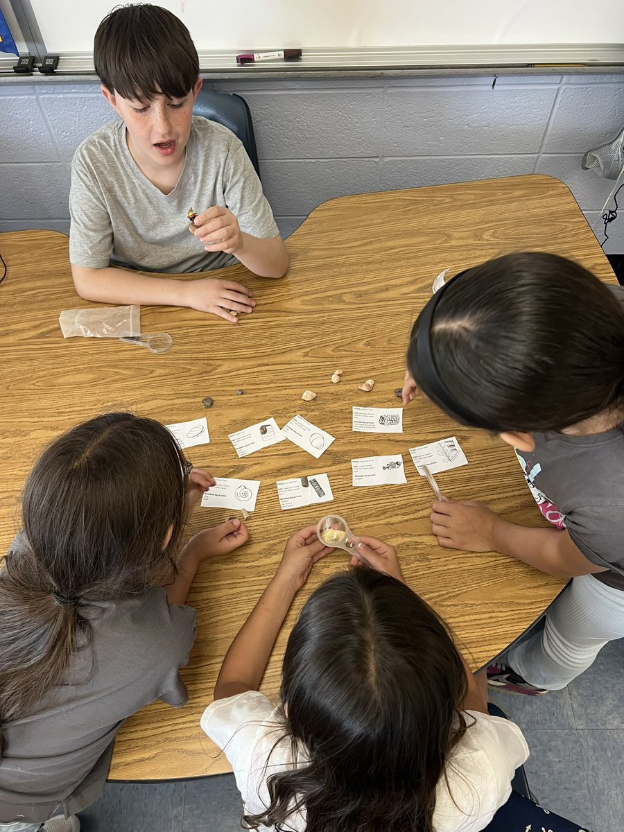 MsRedaelli tweet media