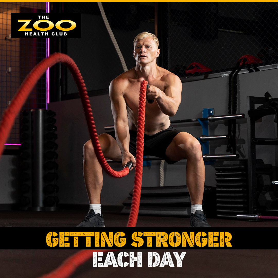 ZooGym's tweet photo. We are breaking the mold of traditional health clubs. Come learn how we are changing the fitness club game.

Visit our website at: 🌐 https://t.co/kqV7Naow7s or call us 📞 (954) 449-4709

#zoogym #zoogymhealthclub #zoogymwoodlands https://t.co/O0oDSqU9Vd