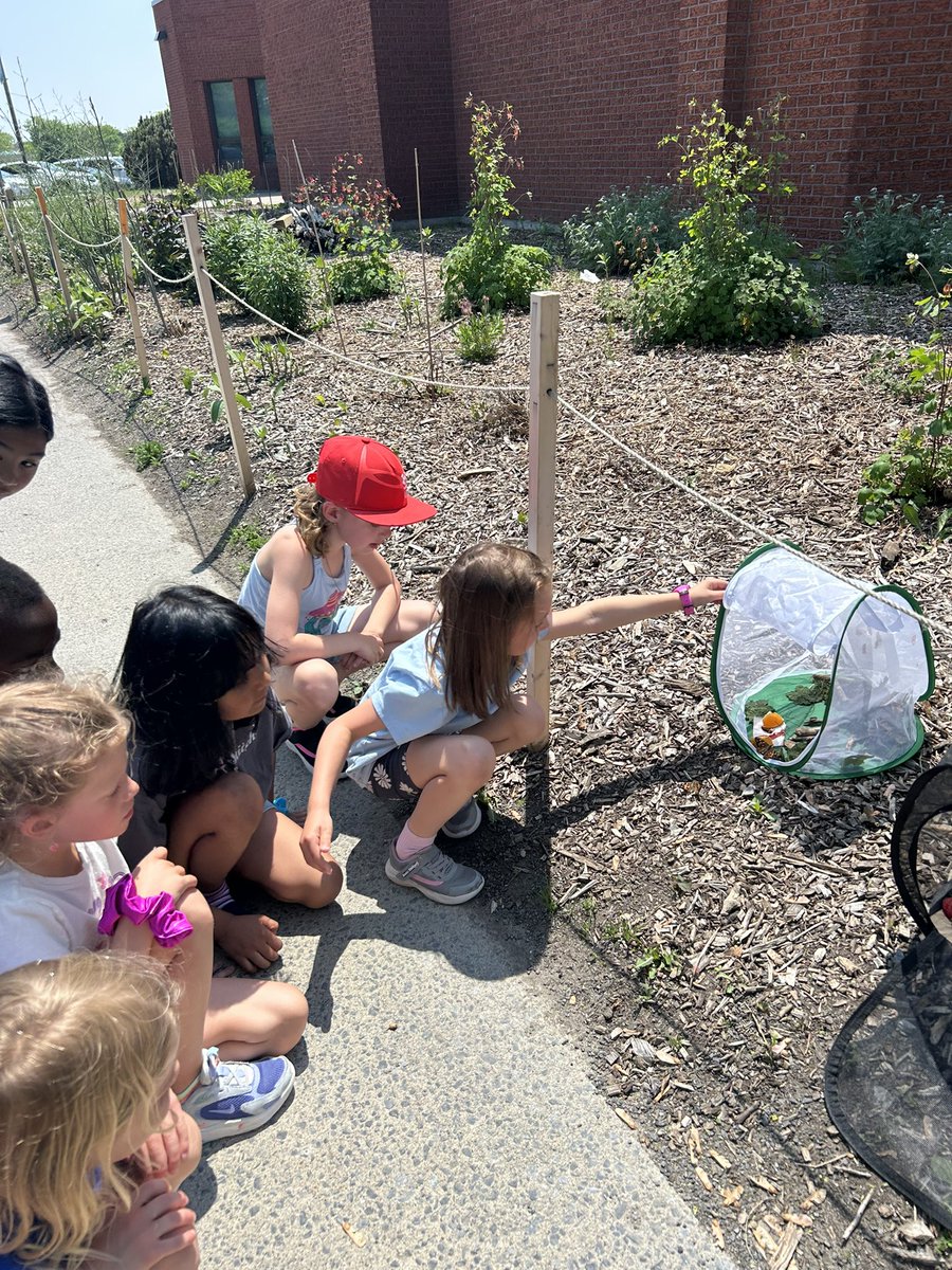 Maggie J (@msjgr2) on Twitter photo Releasing our butterflies today.  We’re excited for them to be free in their natural habitat <a href="/EASetonOCSB/">St. Elizabeth Ann Seton School</a> Releasing our butterflies today.  We’re excited for them to be free in their natural habitat <a href="/EASetonOCSB/">St. Elizabeth Ann Seton School</a>