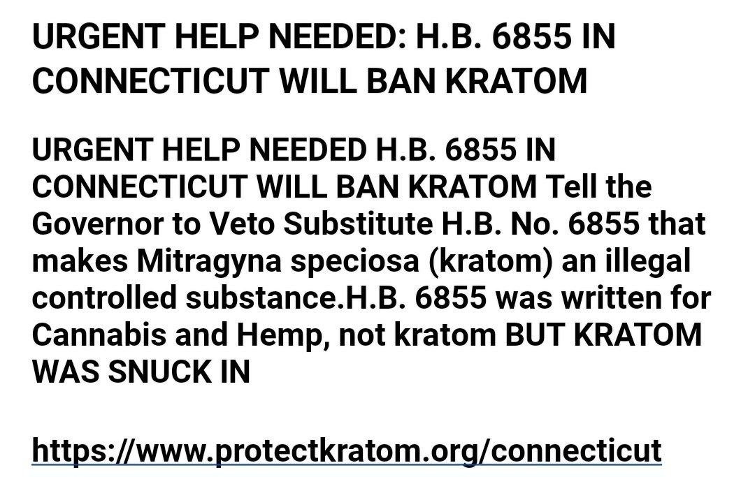 🌿Marcelle Morfin Ⓥ tweet media