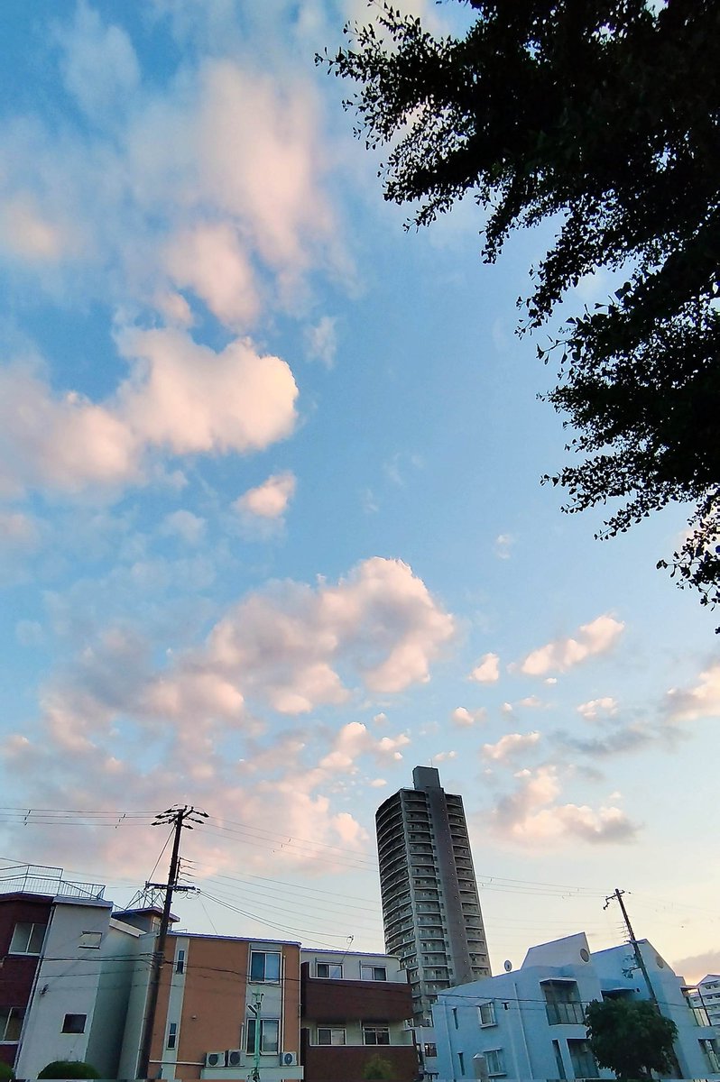 早上好！おはようさん
いつも心は はれるーや☀
#おは戦70605🌳mB
歳なんか関ない！
昨日、私用で大阪市内へ行った時、待ち時間が2時間ﾁｮｲできたので、時間潰しに1円パチンコへ！
Luckyにも16,500円の勝ち👍
そうそう、昨日は "一粒万倍日" やったんよ💰️
オジンは、【運がいい】って話！！