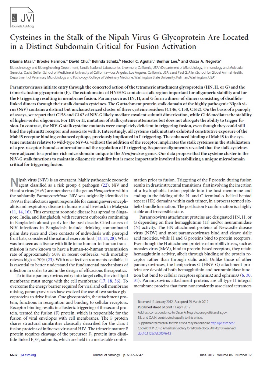 AllicinV's tweet photo. Nipah is on the #AllicinV list of disulfide bridged spike protein nanomachine pathogens. #Nipah #Langya #Pathogens #Cysteines #DisulfideBridges https://t.co/8ewtx73A6h