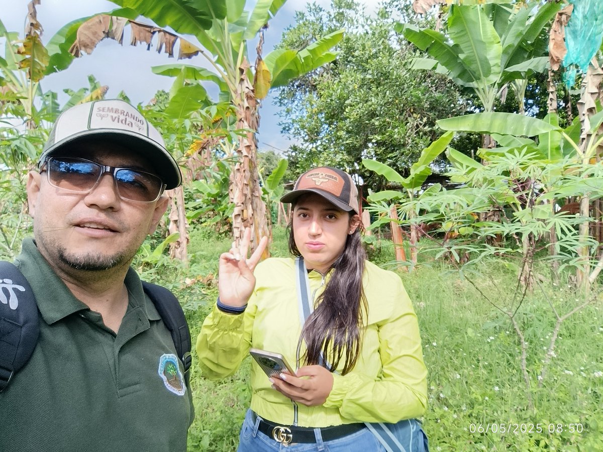 Diaz Colorado Cesar tweet media