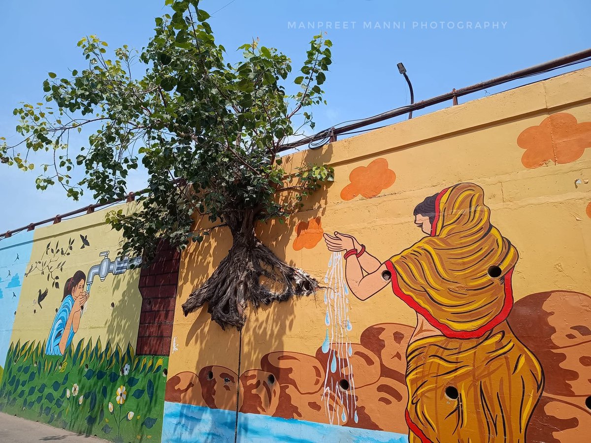 ManpritManni777's tweet photo. World Environment Day  🌍 🌳🌴🌲🏞️

#WorldEnvironmentDay2025 #WorldEnvironmentDay #Trees #TreePlantation #EnvironmentDay #AFP #afpphoto #PTI #photography #photooftheday #nature #naturephotography #environmentallyfriendly https://t.co/cR3ZSuIrxg