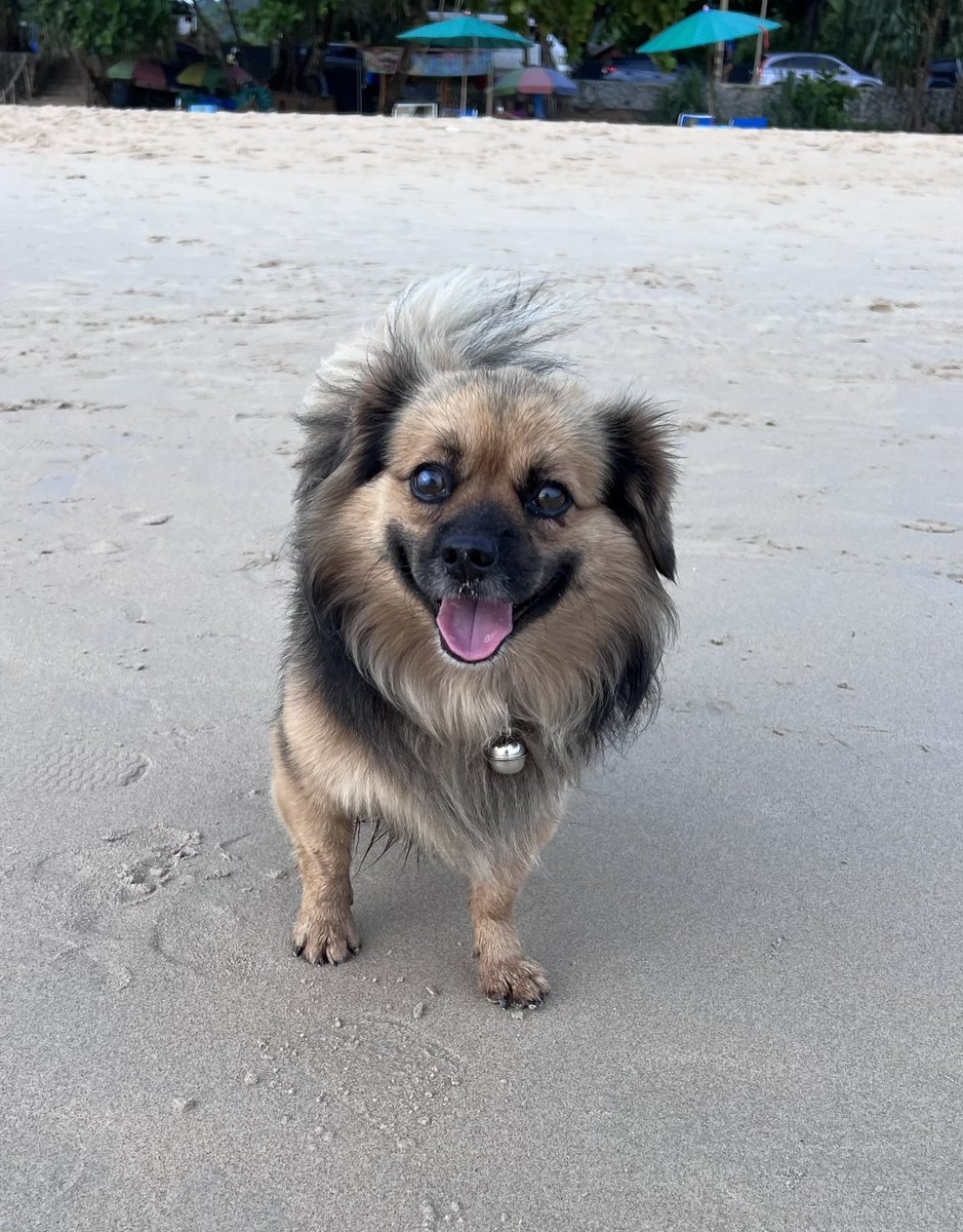 Garrett Girvan tweet media