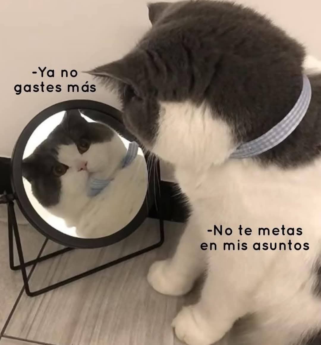 Brian. (@briansinsuerte) on Twitter photo 