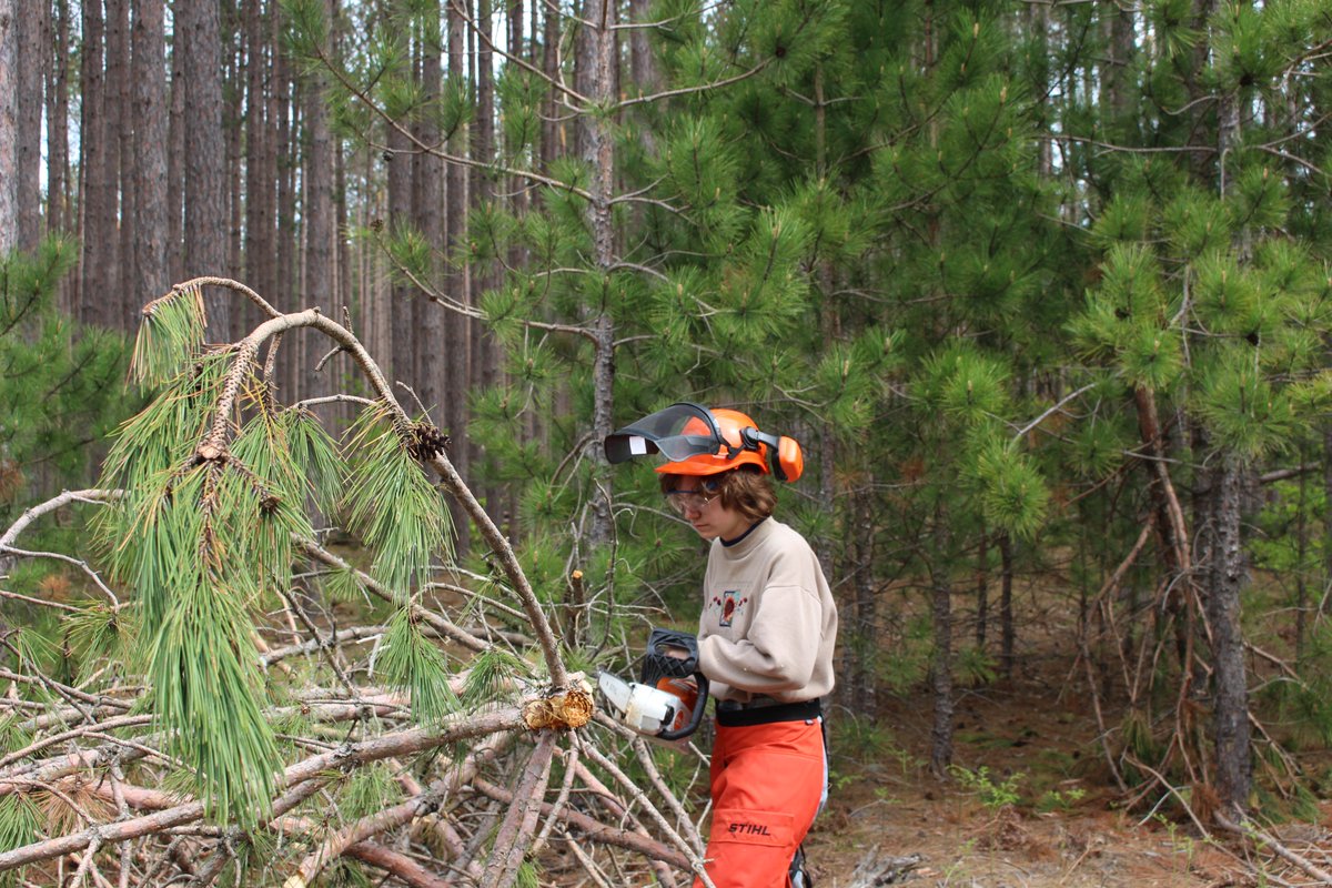 UM Biological Station (@umbs) on Twitter photo Thank you to Mike Rutkofske from the <a href="/UMich/">University of Michigan</a> grounds crew in Ann Arbor who led a chainsaw safety training class at the U-M Biological Station last week so volunteers can help clear trails blocked by fallen branches after the ice storm swept through northern Michigan in late March. Thank you to Mike Rutkofske from the <a href="/UMich/">University of Michigan</a> grounds crew in Ann Arbor who led a chainsaw safety training class at the U-M Biological Station last week so volunteers can help clear trails blocked by fallen branches after the ice storm swept through northern Michigan in late March.