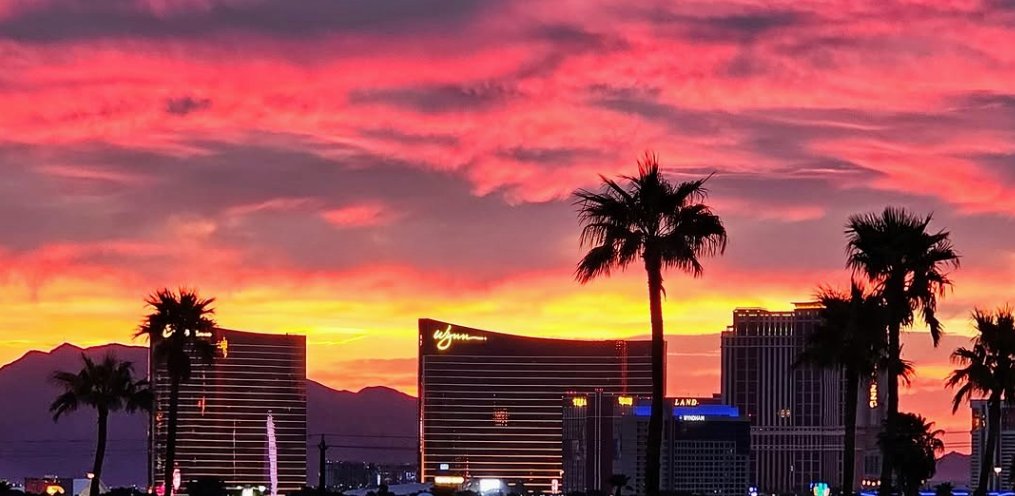 The RacingDownWind Community tweet media