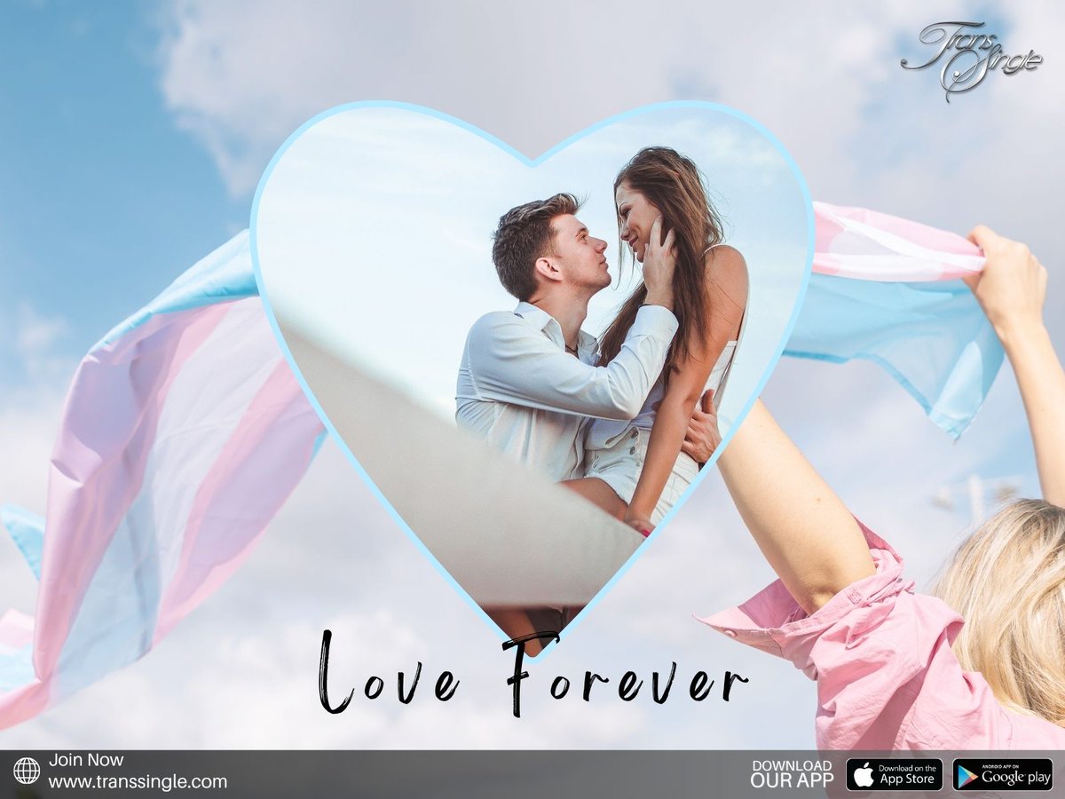 TransSingle tweet media