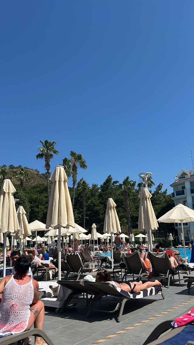 Liam Thomas tweet media