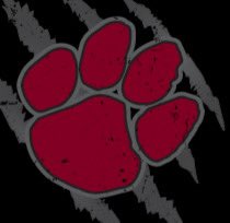 SCCougsSoftball's tweet image. SCC still looking for the right fight to join our team! Looking for a pitcher to compete and complete! #FocusOnUs @TransferPortal_
