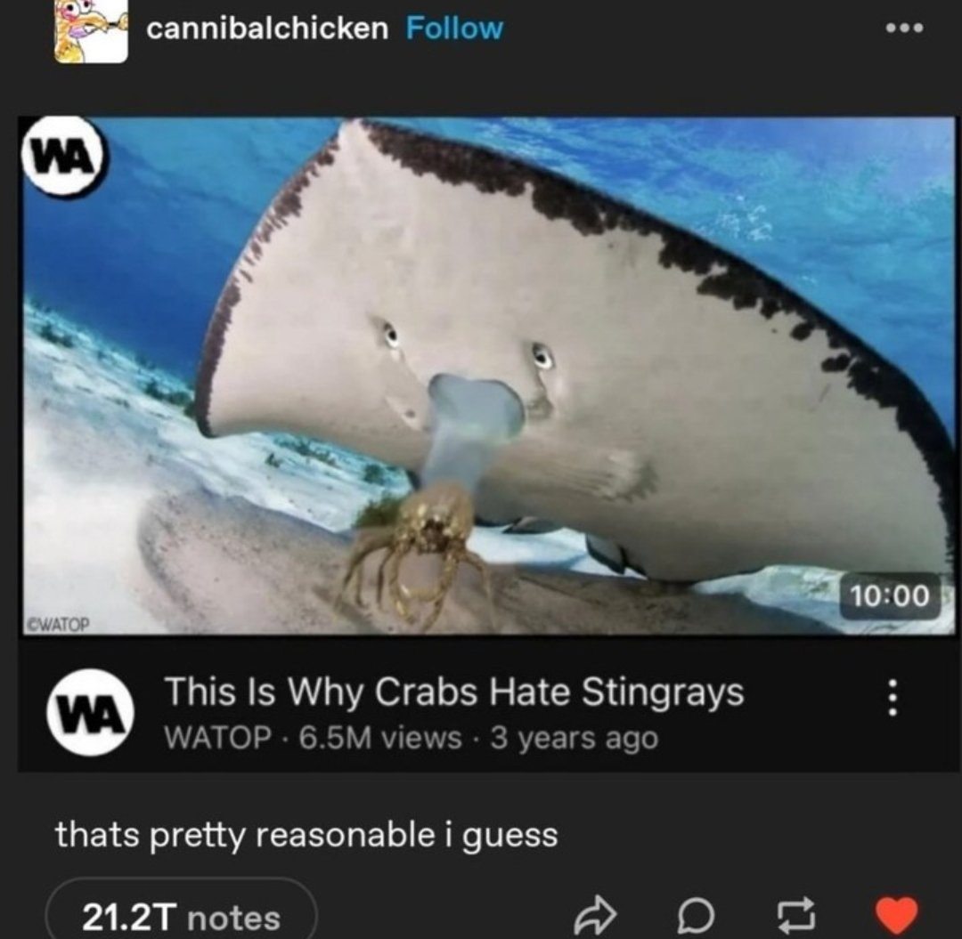 animals going goblin mode (@mischiefanimals) on Twitter photo 