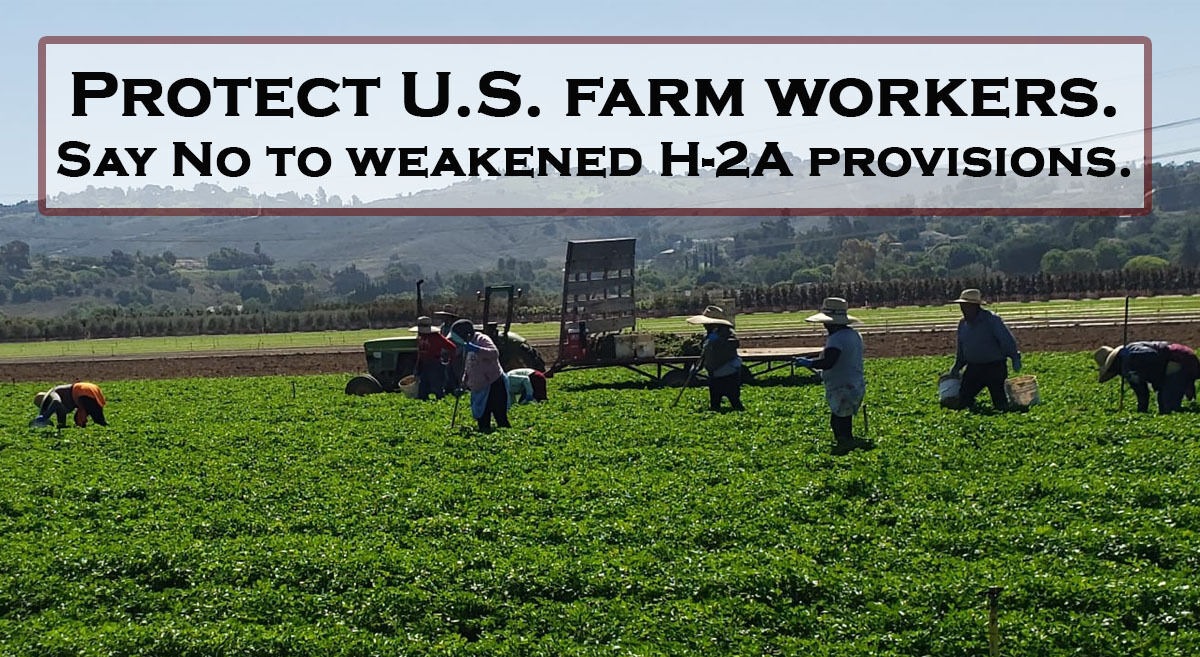 UFWupdates's tweet photo. Take action today to protect US farm workers. Tell your Congressmembers to say NO to weakened H-2A wage provisions that would undercut American farm workers' wages and protections. 1/2 #WeFeedYou https://t.co/GBIQUlHAzf