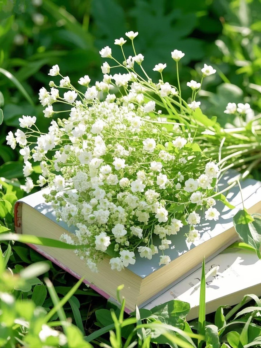 Love life (@zqyjbjfqj6ocagd) on Twitter photo 