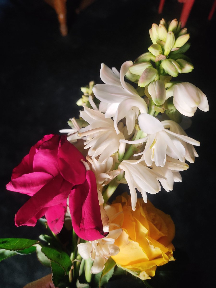 MilonSheikh_03's tweet photo. Flowers🖤🌺 https://t.co/geHkcLRMH1