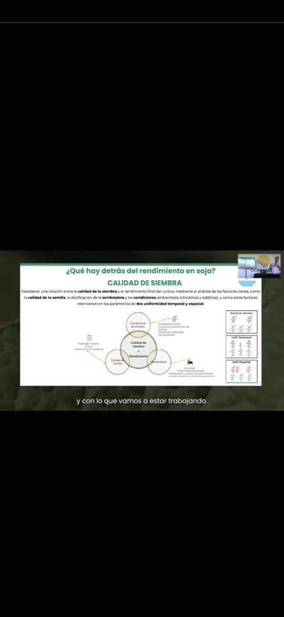 PabloRRicart's tweet photo. Muy buena @GDMSeeds los Master Class de @MatiasVenece  y @Jerocostanzi .. 
Ahora espero por la de trigo !!!
Felicitaciones y gracias por divulgar su conocimiento https://t.co/gZaxnZBnz3