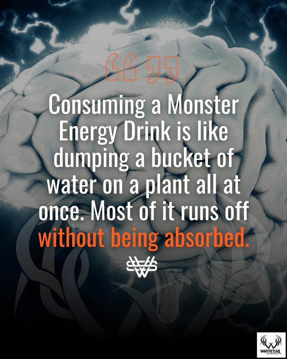 🪣 Dumping water on plants doesn't help them grow
...and dumping caffeine+sugar into your body doesn't properly energize you.

Monster energy drinks are like flooding your system all at once - most of the "benefits" run right off without being properly absorbed or utilized.

Your