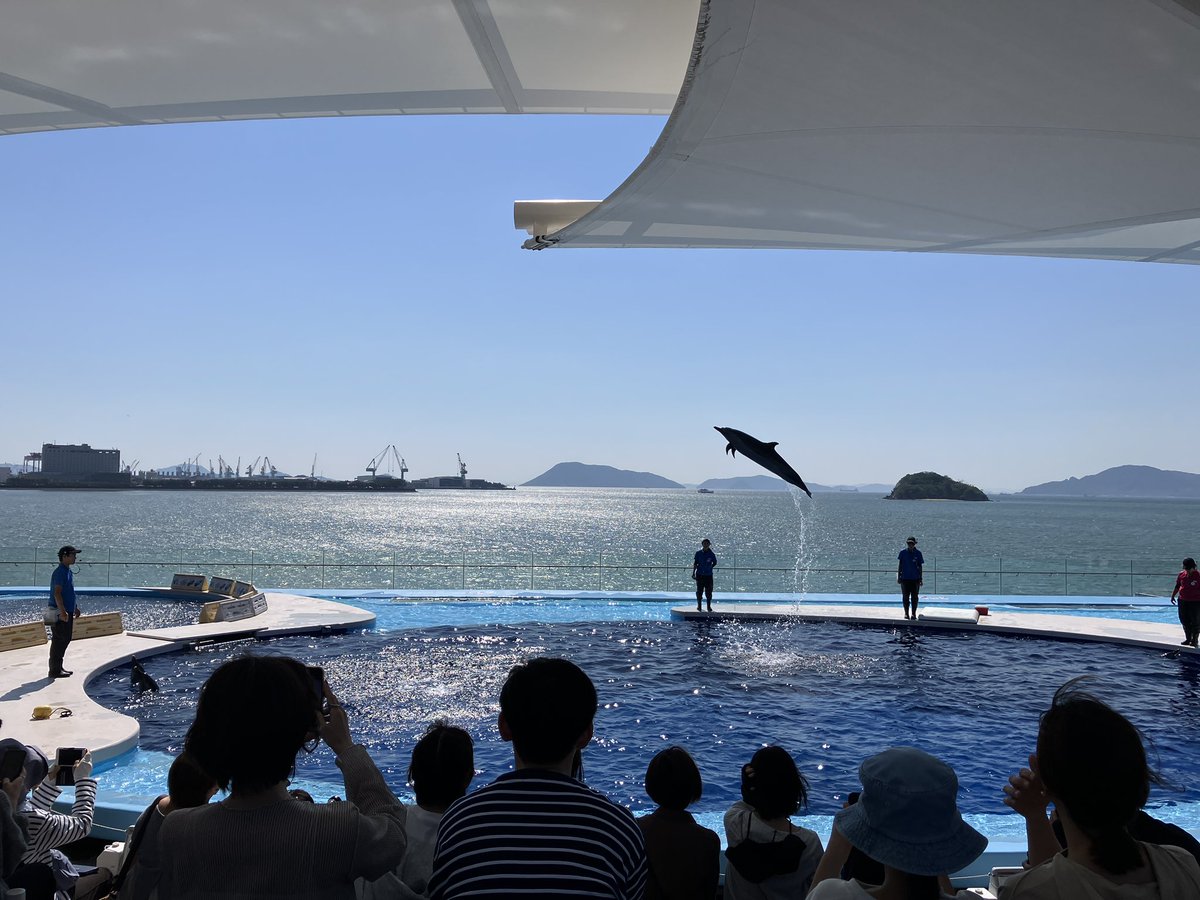 oshiruko23's tweet photo. 昨日現調終わりになんとなく寄った四国水族館
ちっさいけど新しいし海きれいしよかった
半日でまわれるオヌヌメ🏖️ https://t.co/HpvZux96CX