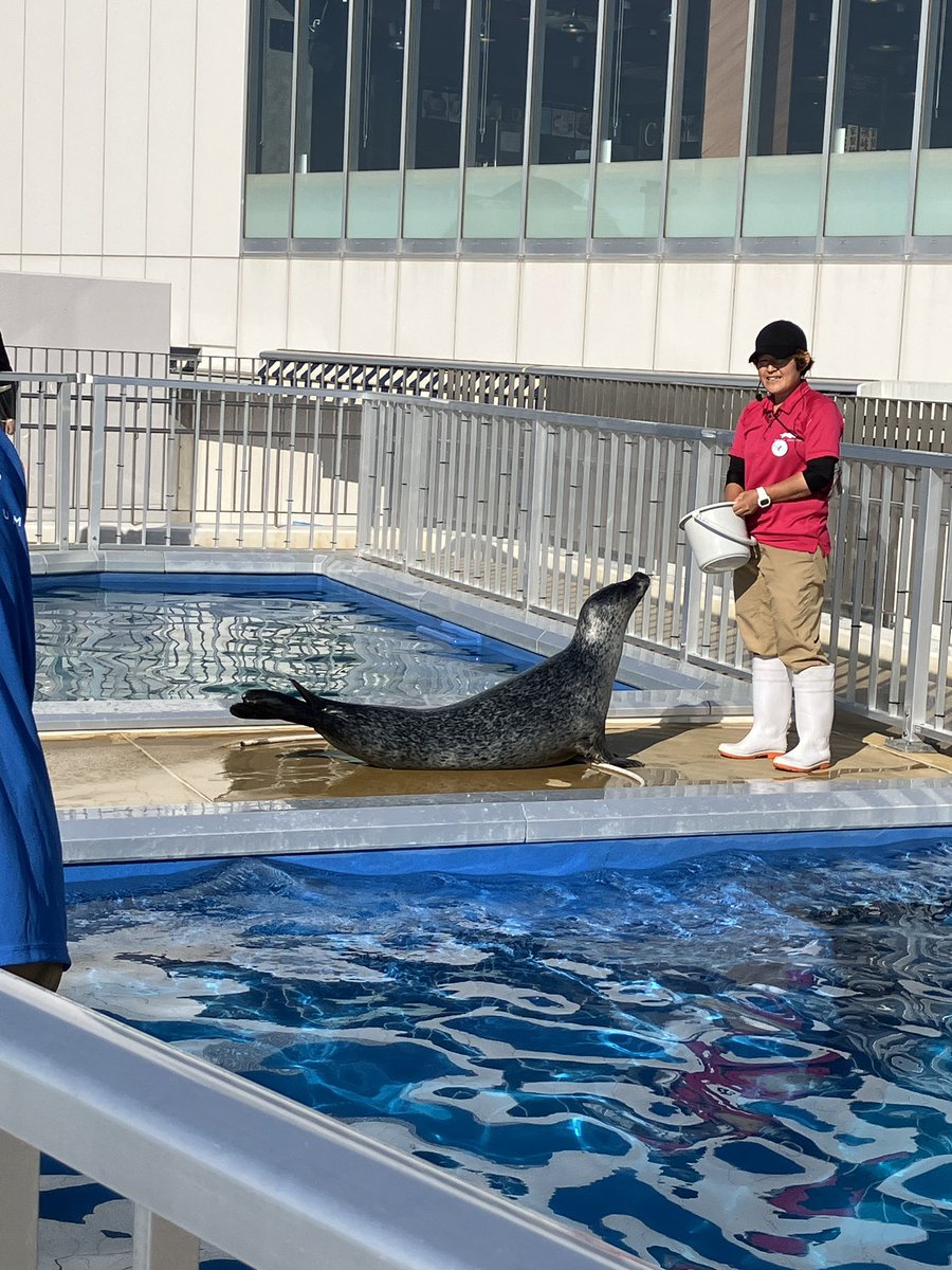 oshiruko23's tweet photo. 昨日現調終わりになんとなく寄った四国水族館
ちっさいけど新しいし海きれいしよかった
半日でまわれるオヌヌメ🏖️ https://t.co/HpvZux96CX