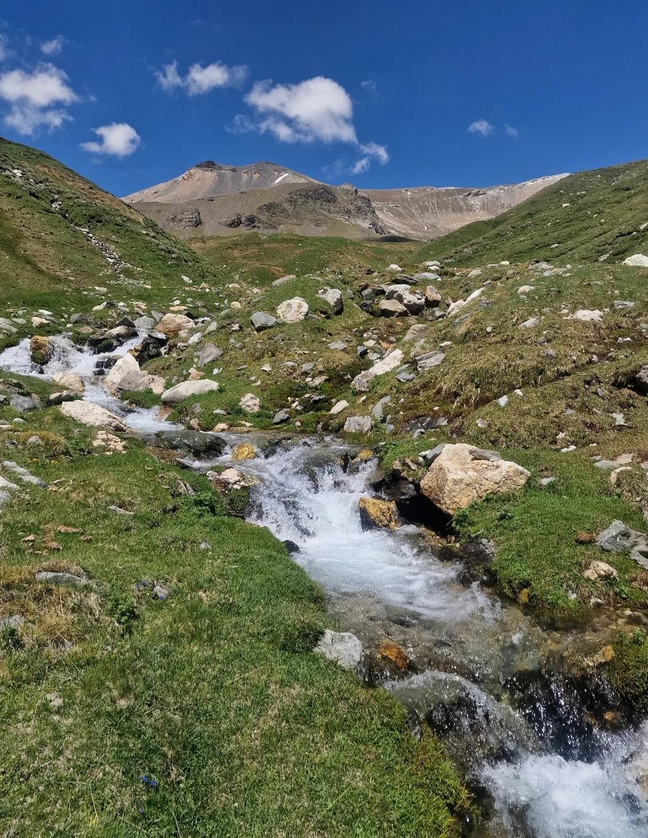 ricardrigall's tweet photo. La vall de Coma de Vaca. #comadevaca #refugicomadevaca #balandrau #queralbs #ripollès #hiking #primavera2025 https://t.co/wbXYJWCuL4