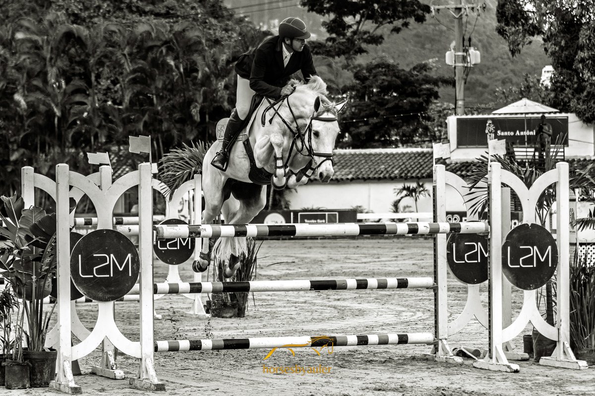 AlexandroAuler's tweet photo. #showjumping #ilovehorses https://t.co/CidYrPlCIT