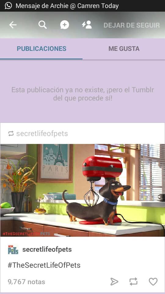 Carmelas Today tweet media