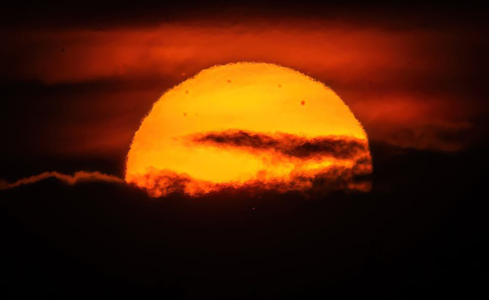 Benbbirder's tweet image. East Yorkshire today @Bempton_Cliffs @BridlingtonEast @A_ZofWonderment @nipsweetie @BBCLookNorth @yorkshirepost @RobertEFuller