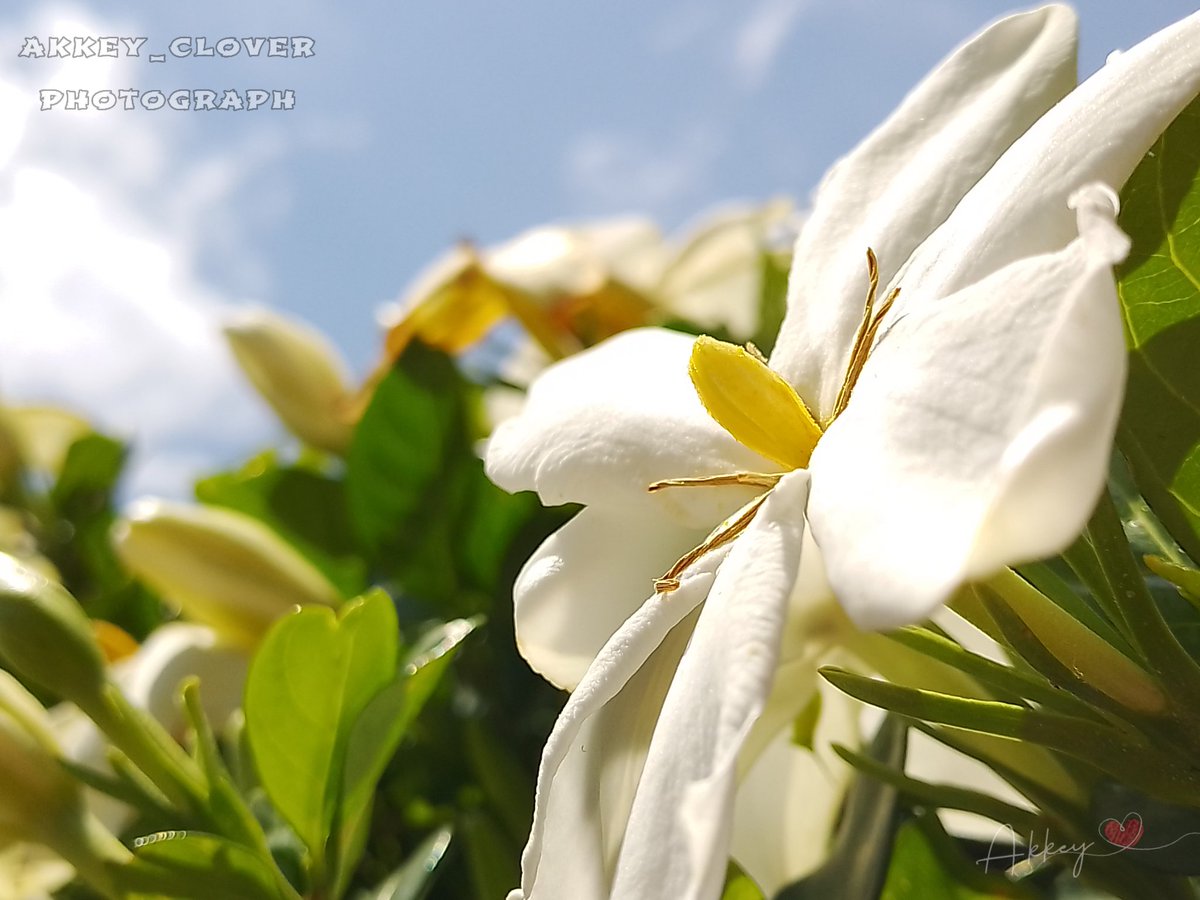 6月5日(木)
おはざいます·͜· ☀︎

シャンプーが切れたのを思い出してドラッグストアへ買いに行ったら僕の使ってるやつ取り扱い止めたって(߹ㅁ߹) ᒡᑉᒡᑉᐧᐧᐧ

仕方なしに諦めてどうせならちょっと冒険しよって買ったシャンプー🧴◌𓈒𓐍

…冷シャンだった(߹ㅁ߹) ᒡᑉᒡᑉᐧᐧᐧ